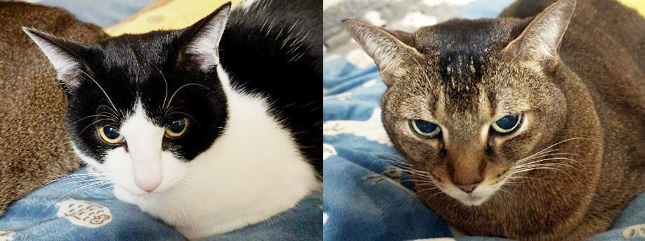 予備校最終日の１月下旬にとった写真